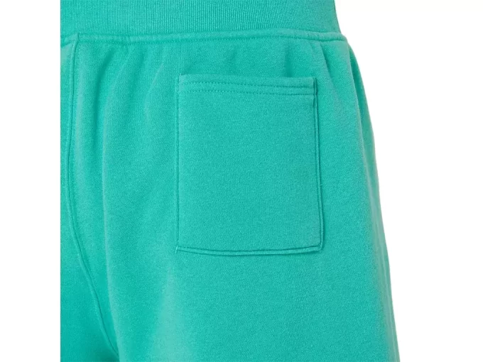 ERKEK ASICS SUNDAY SANA POLAR ŞORT