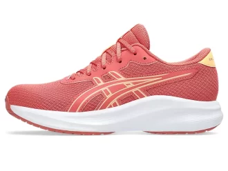 GEL-EXCITE 11. SINIF OKULU